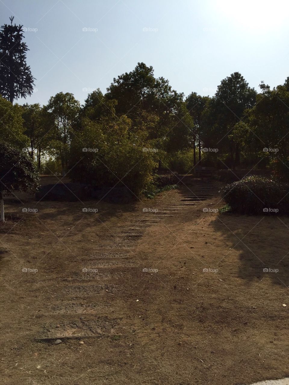 A walkway in a Park in Autumn