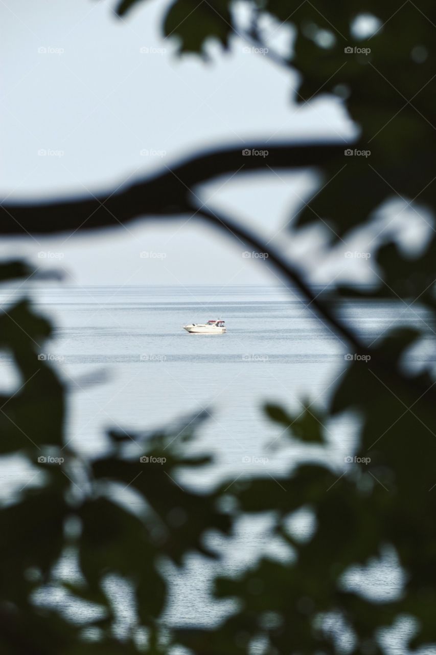 A white boat floating in Lake Michigan, as seen through the shadows of leaves and branches.