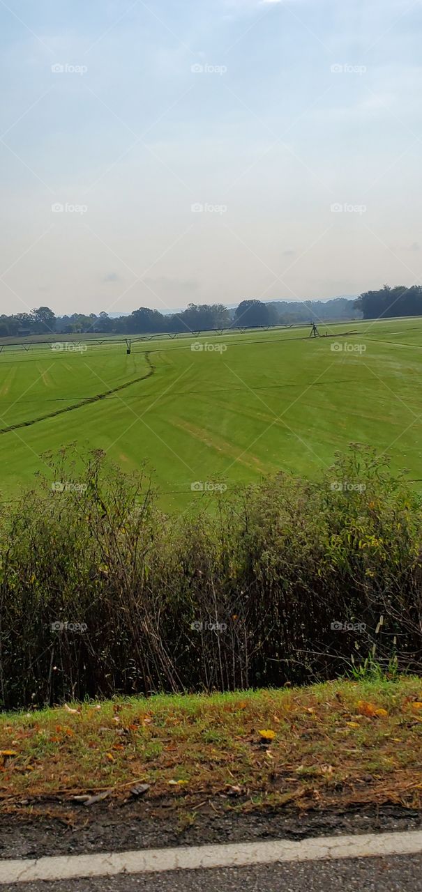 Saturday Morning Sunrise