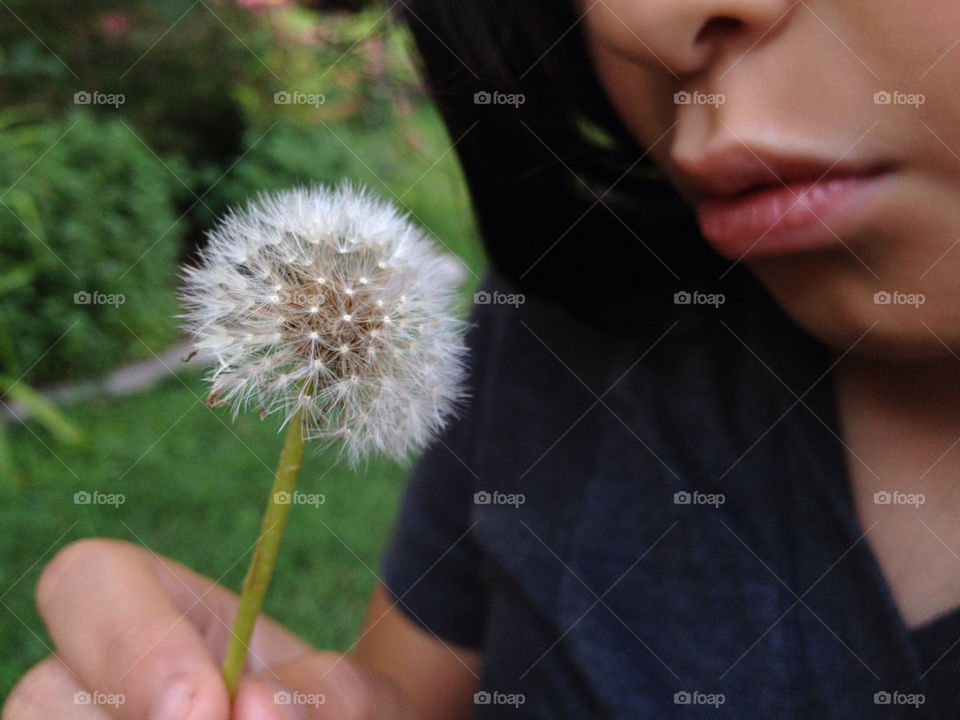 girl blowing dandelion wishing by bherna05