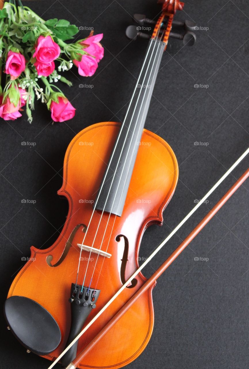 Musical instrument, violin, stringed instrument, violin and bow, stagg 