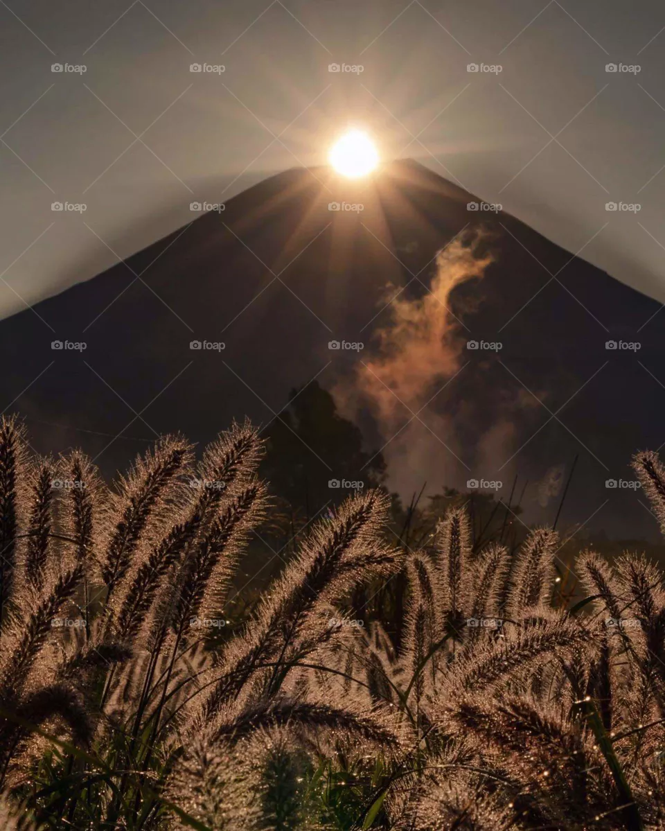 sun