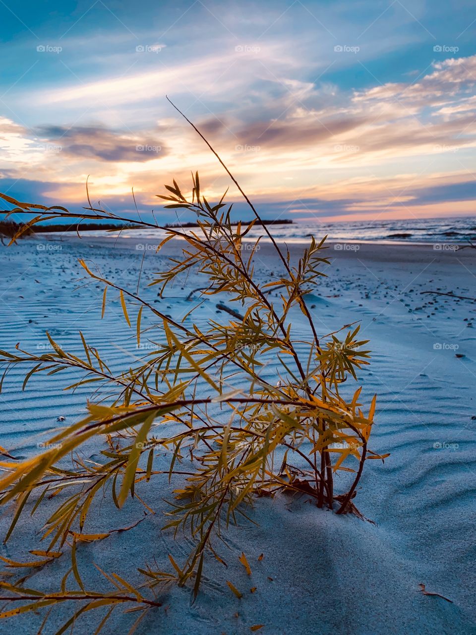 Autumn at the beach 