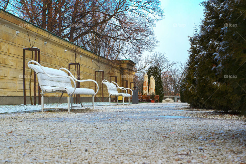 Bench in park