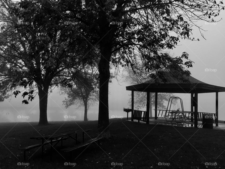 Foggy morning at East a Lake 1