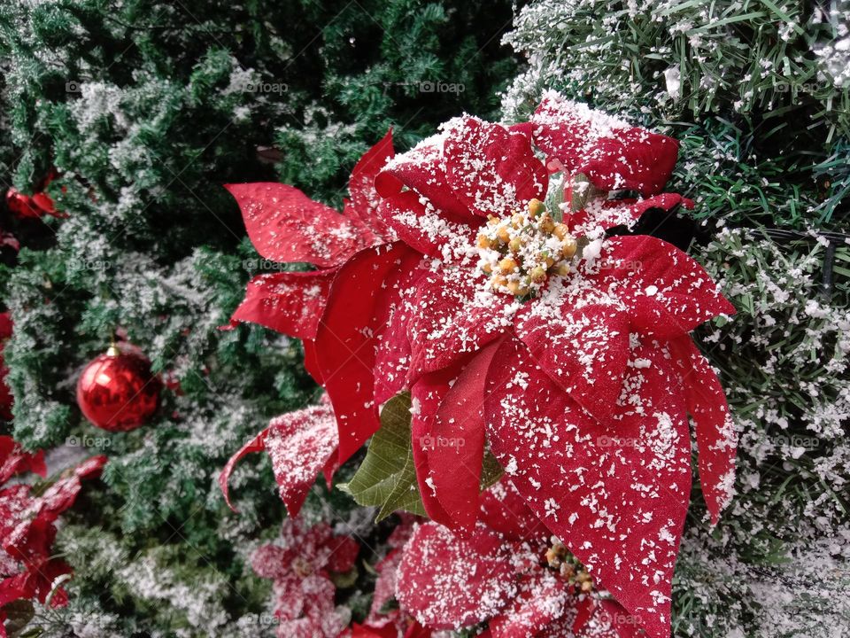 Winter is a season of recovery and preparation