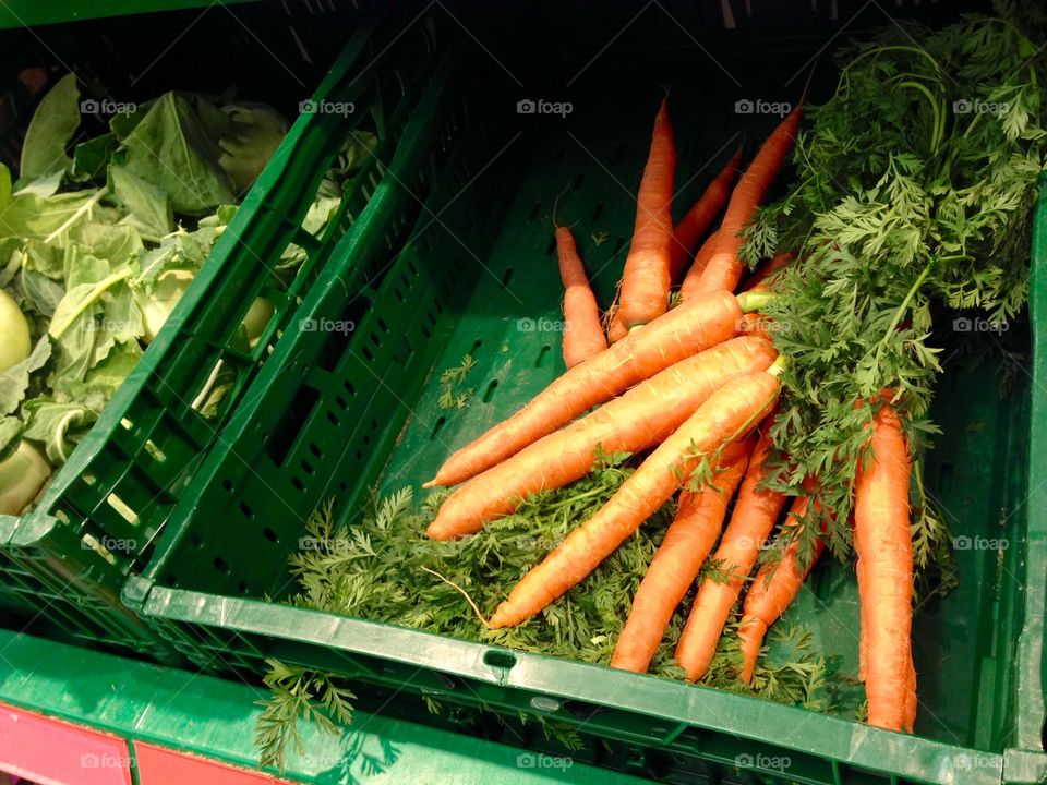 High angle view of carrots