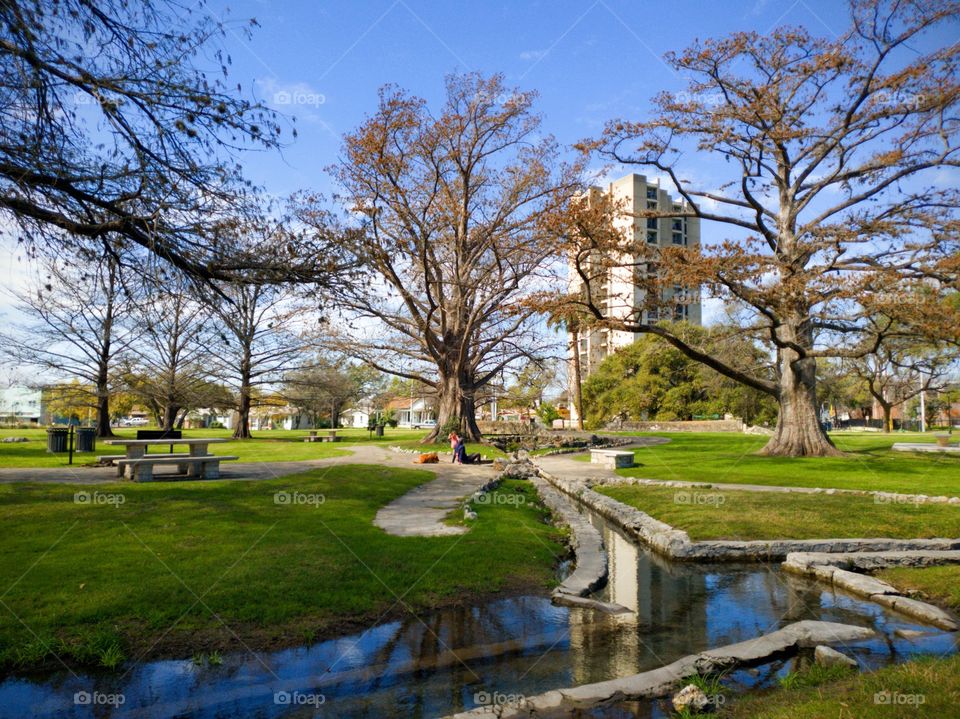 Urban city park on a sunny day whith a blue sky, mature trees, sidewalks, picnic tables, a water canal mirroring the trees, a building and houses in the background, and a man with is dog and child.