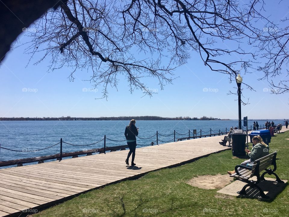 Sunny day by the sea