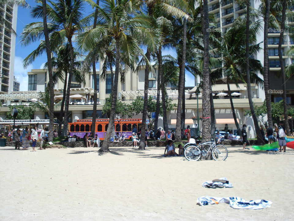 hawaii beach holidays by flybye