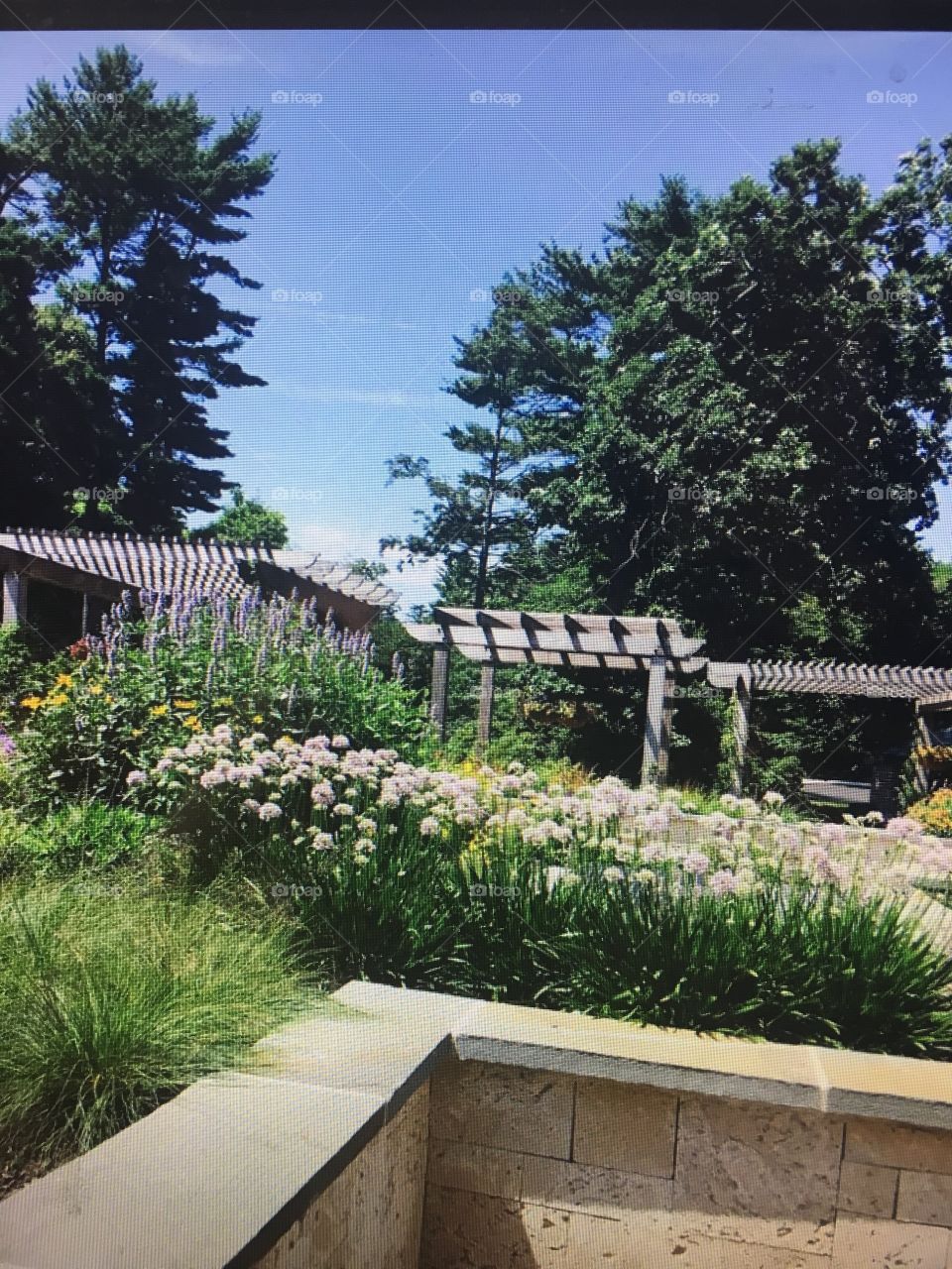 Summer garden with beautiful flowers. Long Island New York 