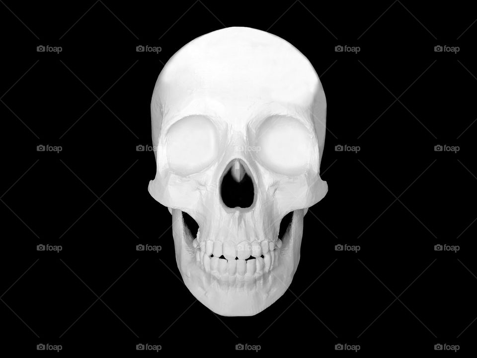 3D print skull model isolate on black background. Medical model.