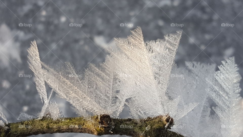 Ice feathers
