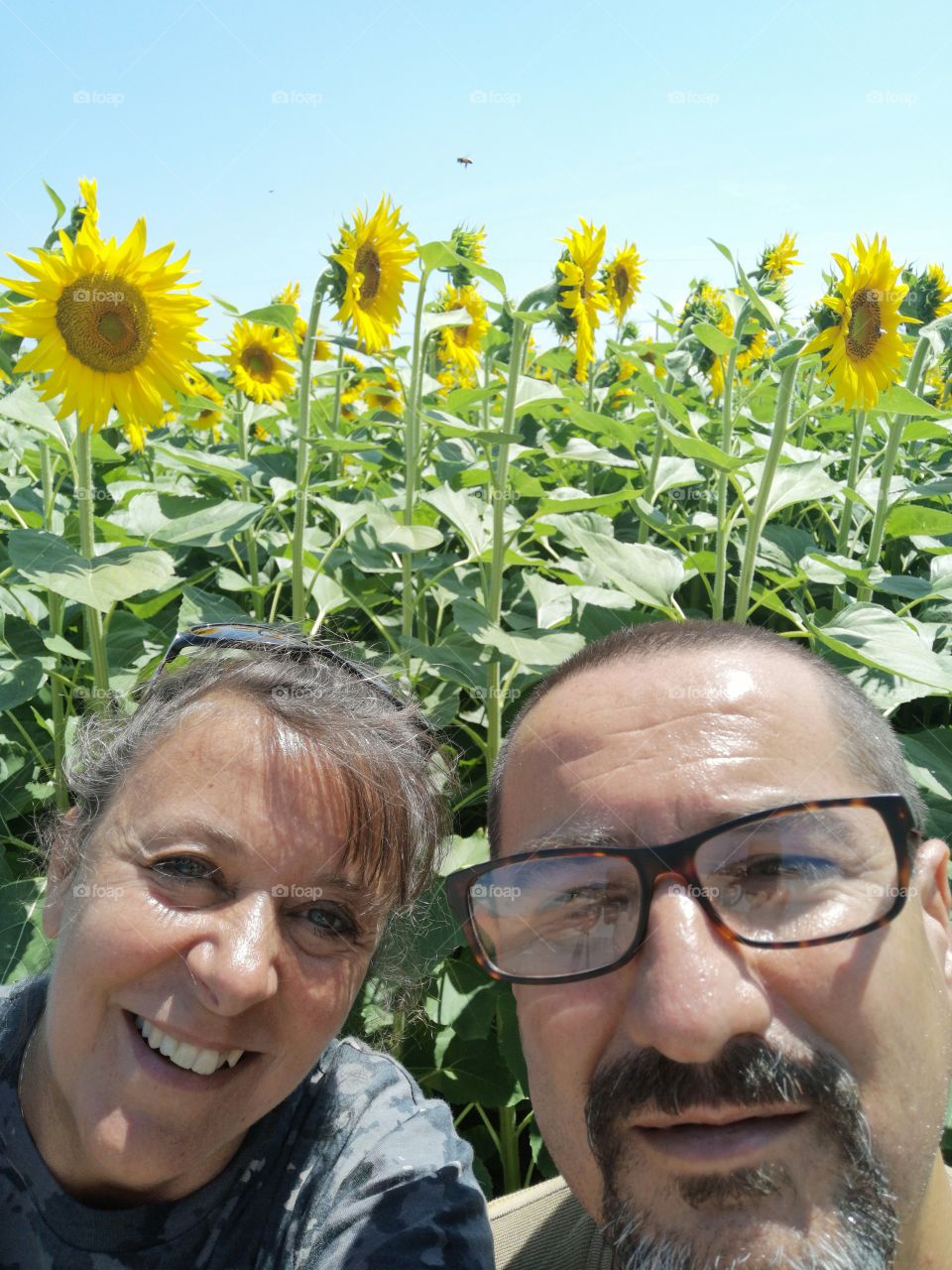 Selfie in the sun