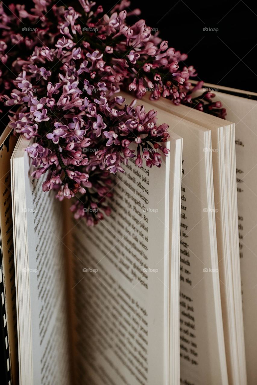 a book with lilac
