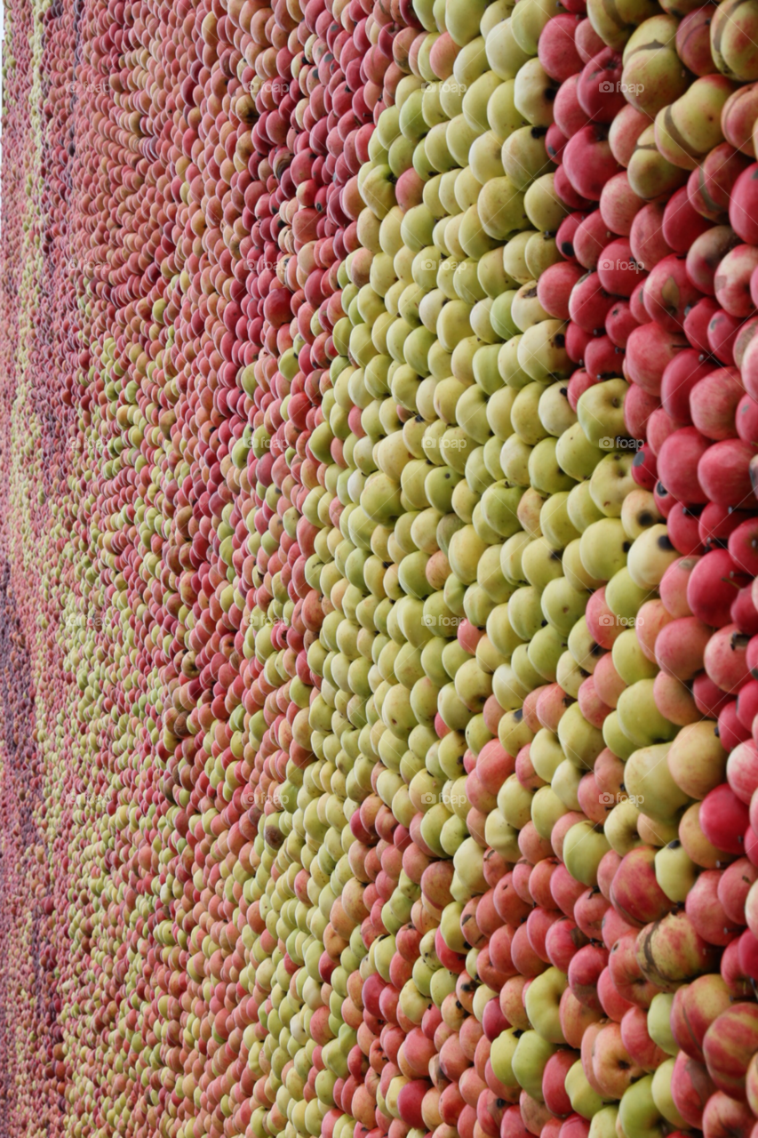 art fall apples fruit by mattiasbj