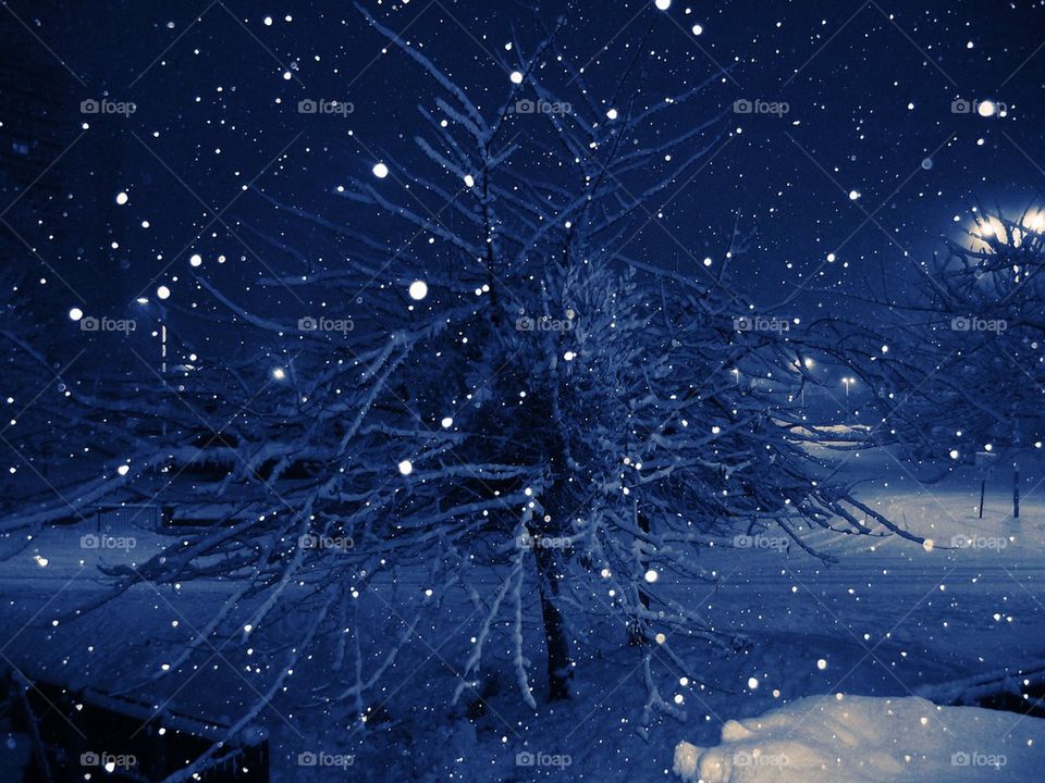 winter wonderland Xmas tree