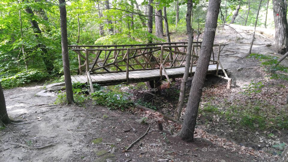 trail bridge in the woods