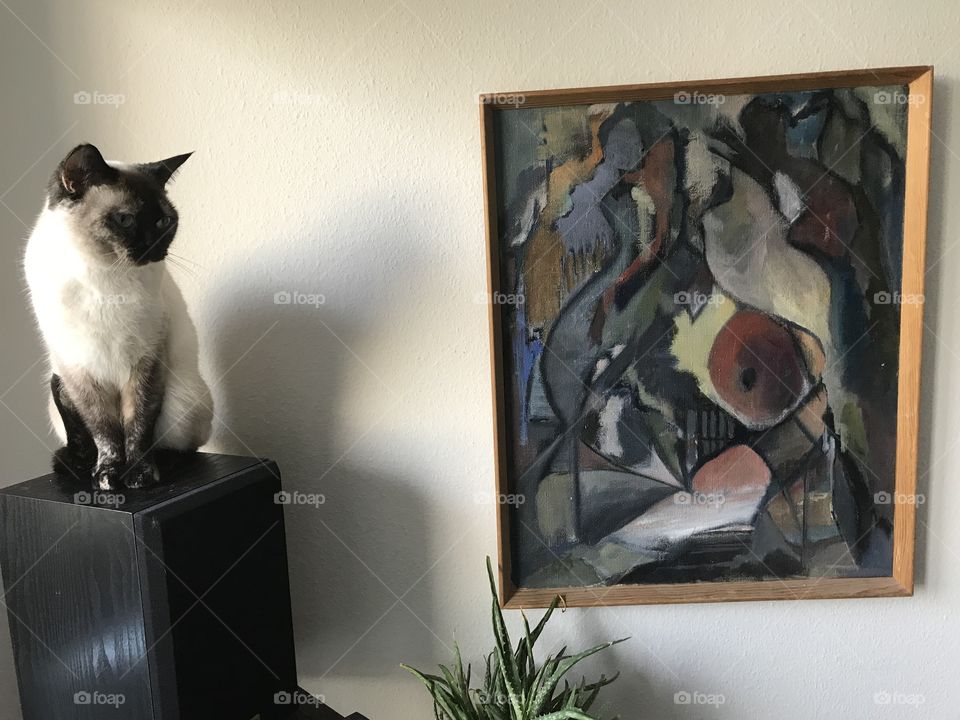 Cat and painting 