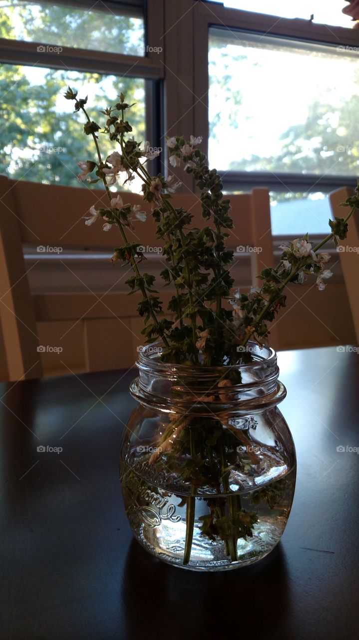 Basil Flower Vase