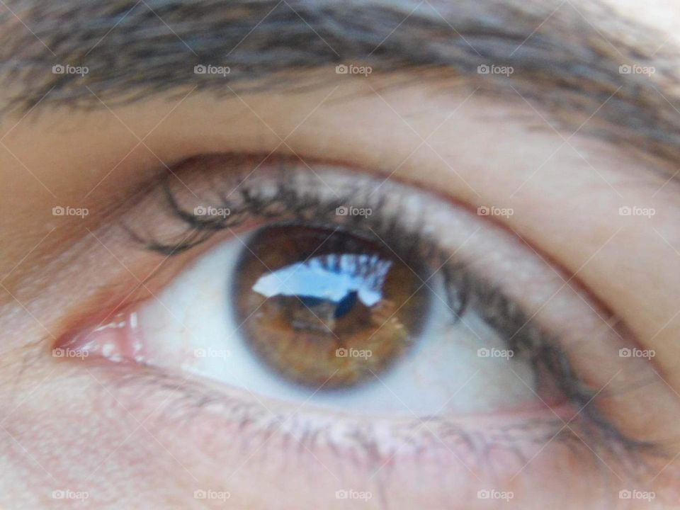 Brown eyes