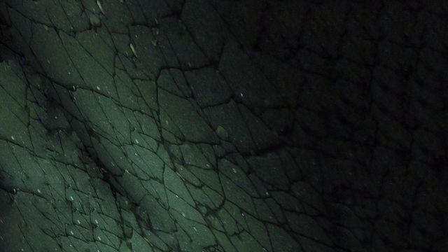 фактура.стены.структура.обои.
