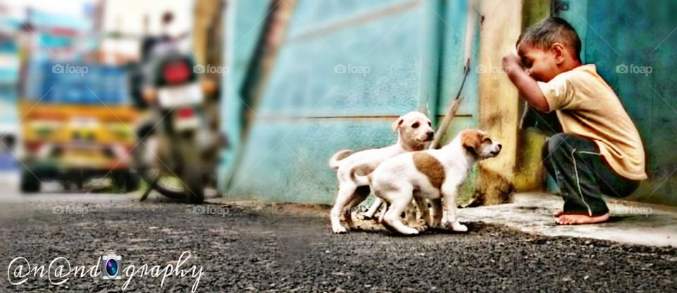 lovable child & cute puppy dog