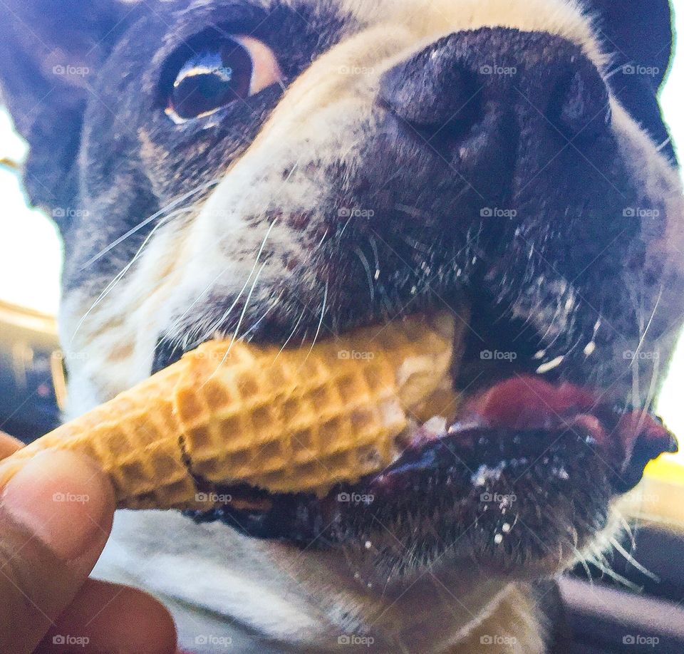 Saturday Ice Cream Cone