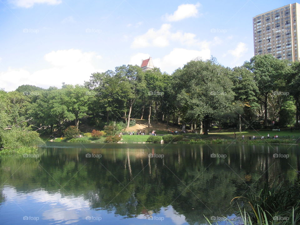 Central Park pond in New York City