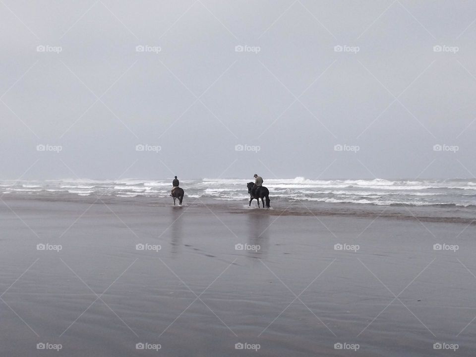 Horses and people in the beach