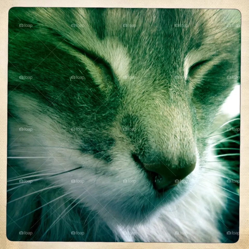Close up
