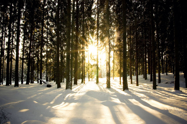 snow