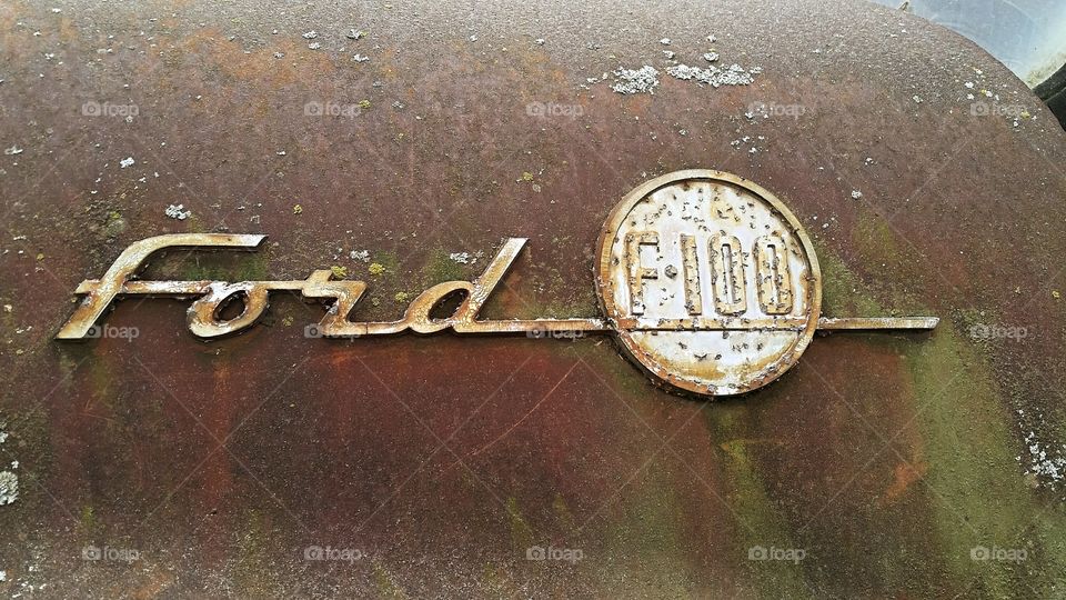 Antique Ford F-100 Emblem