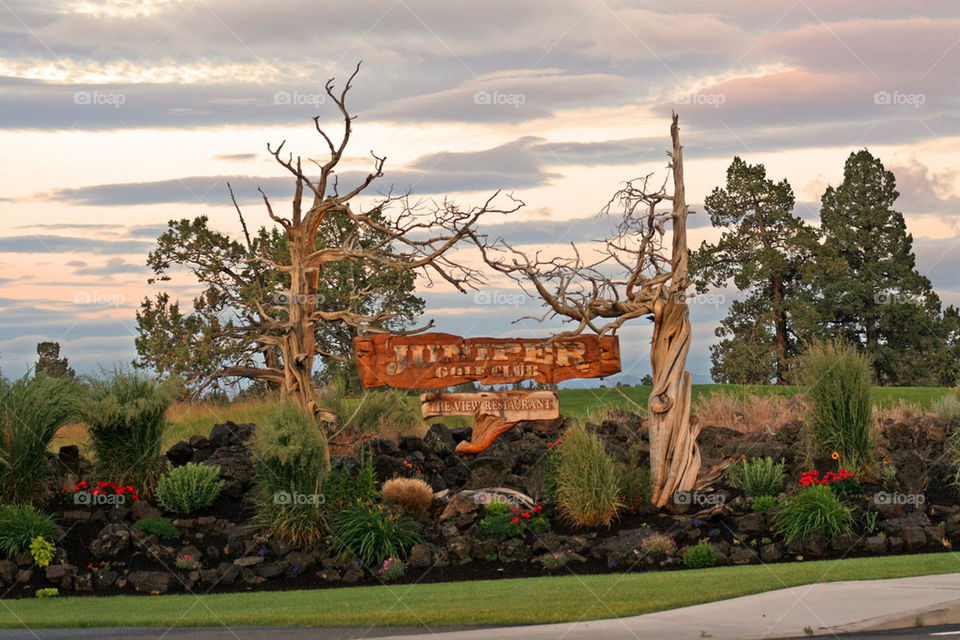 flowers clouds trees golf by mmcook