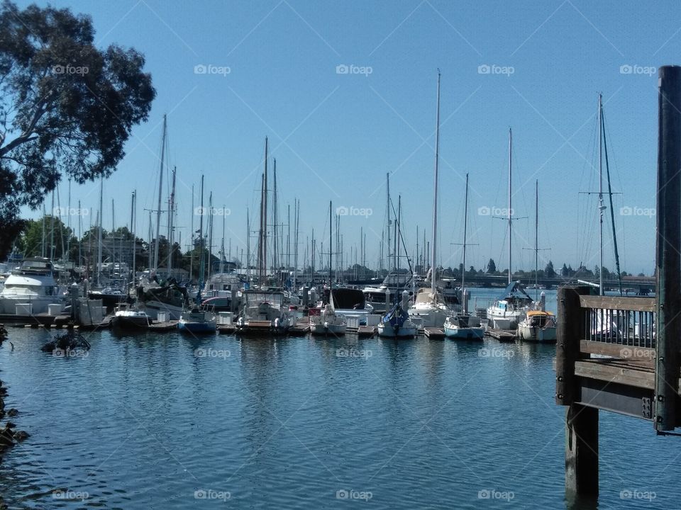 Harbor at Embarcardero in Oakland,  ca