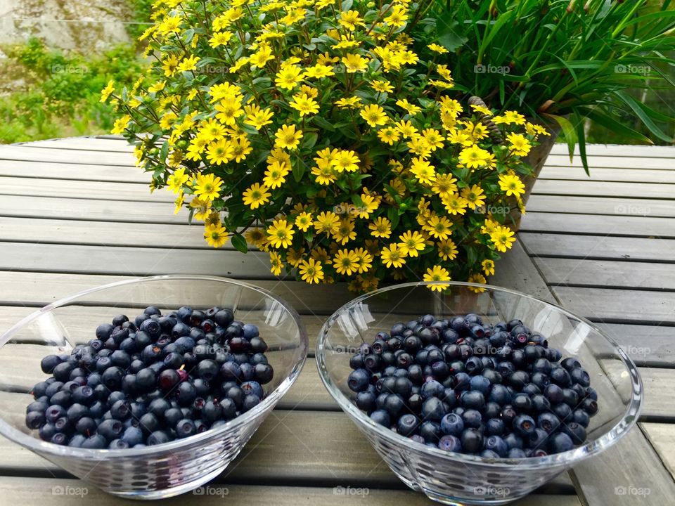 Blueberries for dessert. . Two blueberry desserts