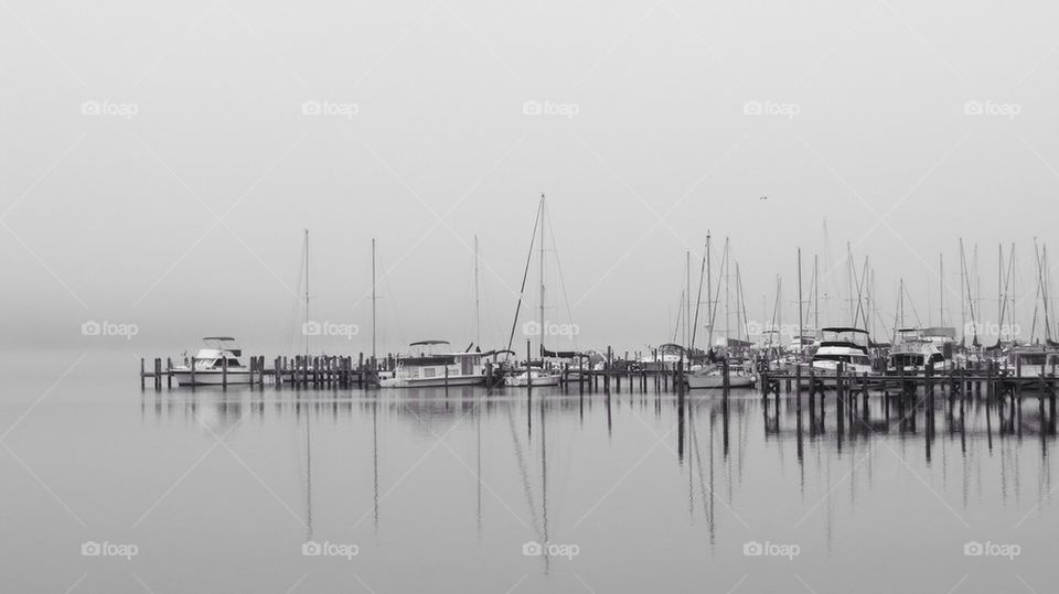 Foggy docks