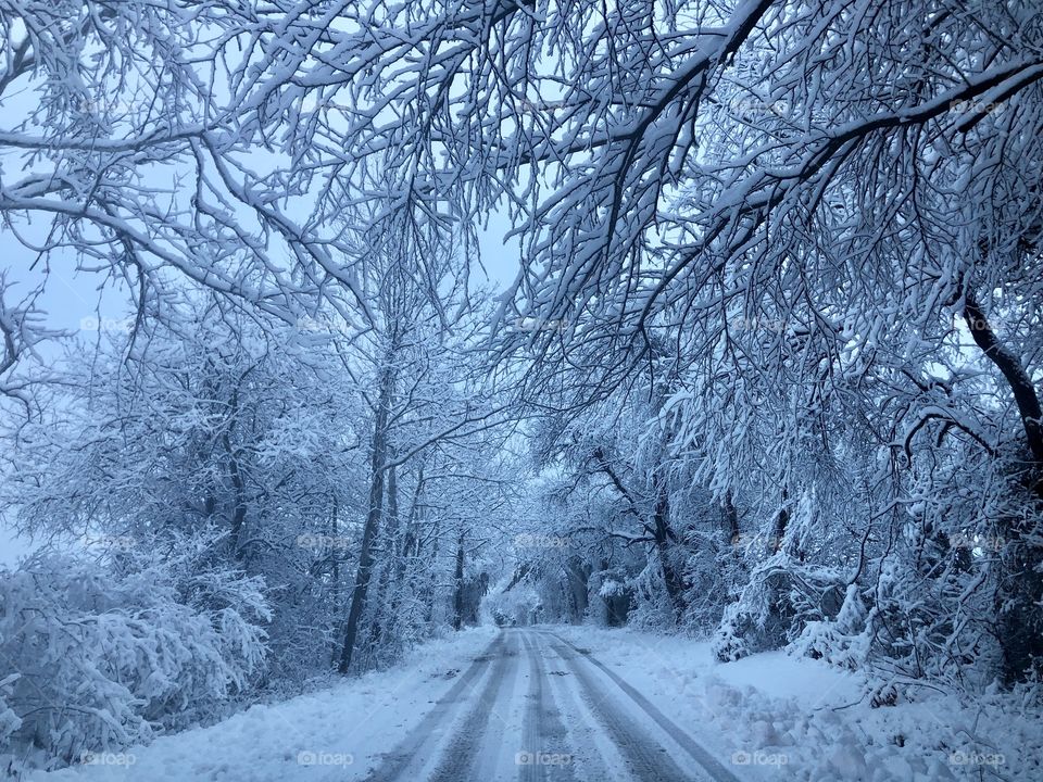 Driving in a winter wonderland 