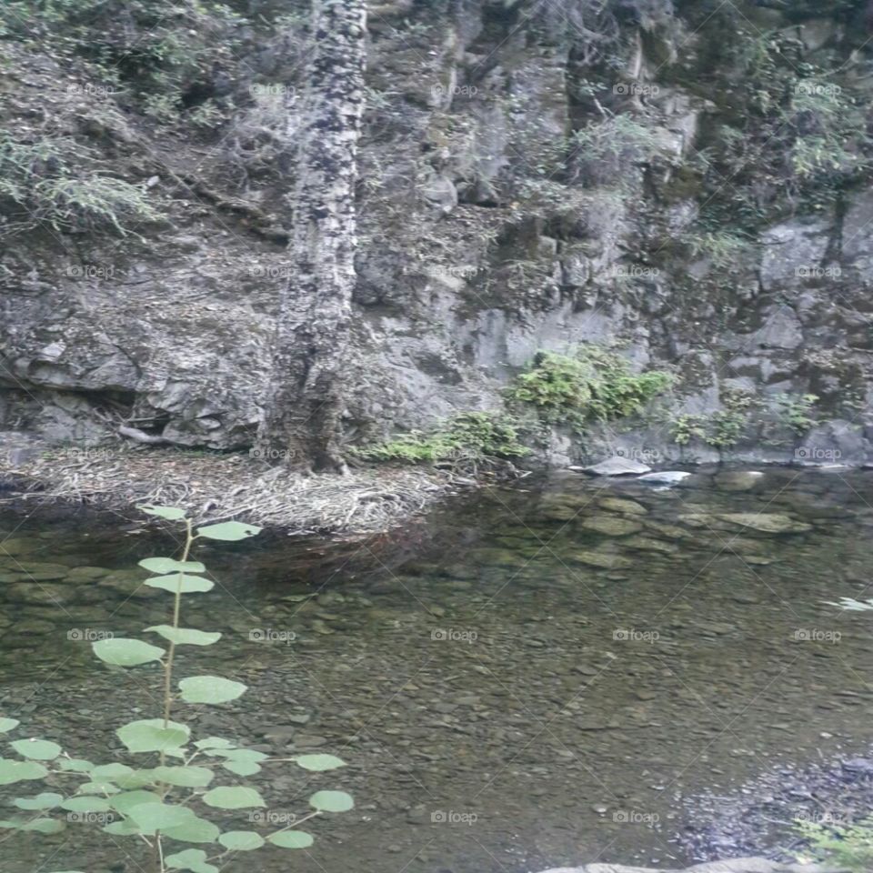 Foini river