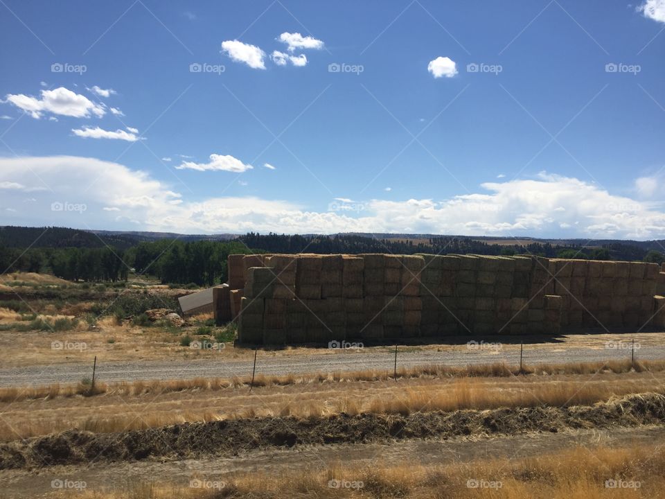 Landscape, No Person, Sky, Mine, Agriculture