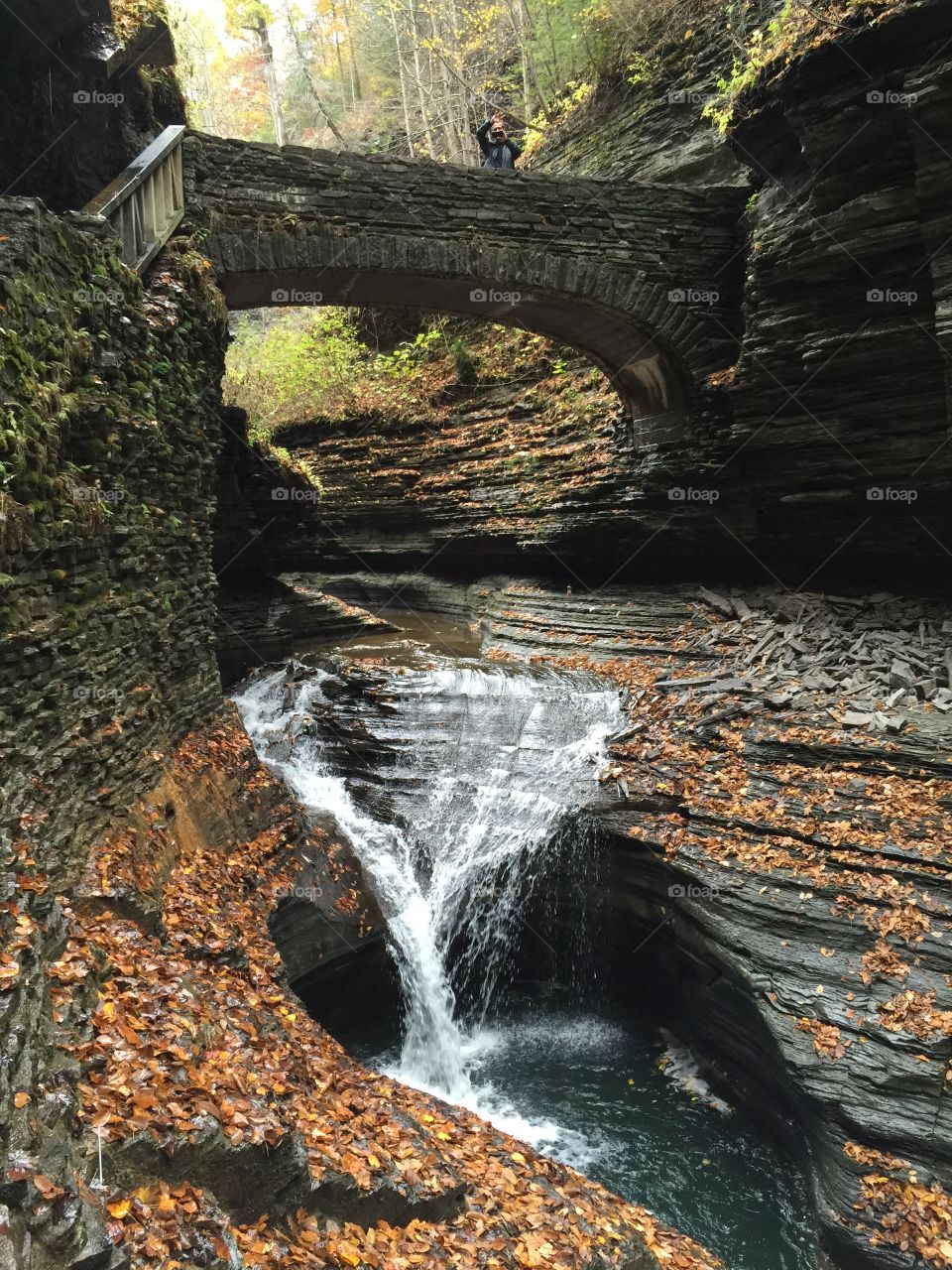 Watking Glen State Patk Waterfalls in New York