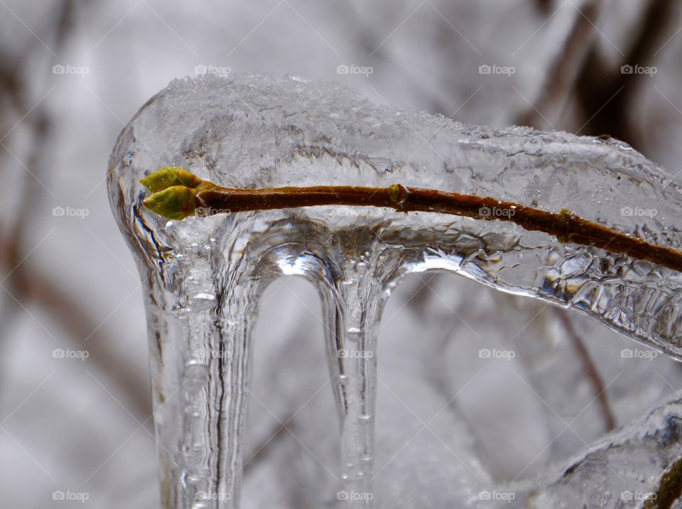 Icee, Cold, H2 O, No Person, Glass