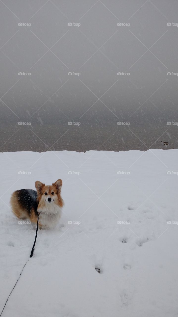 where'd the lake go?