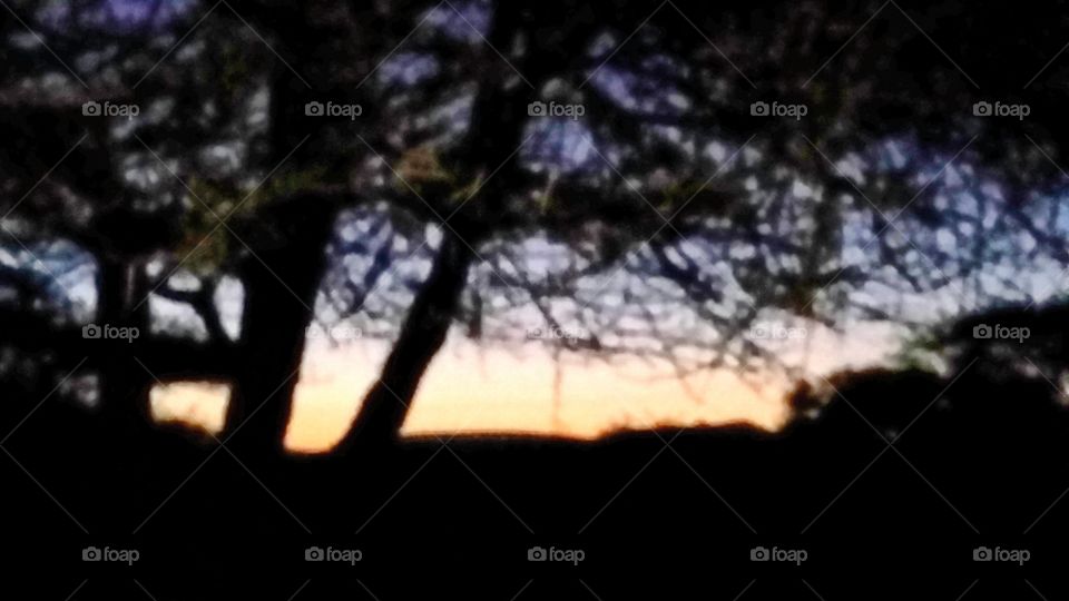 sun set on the game farm