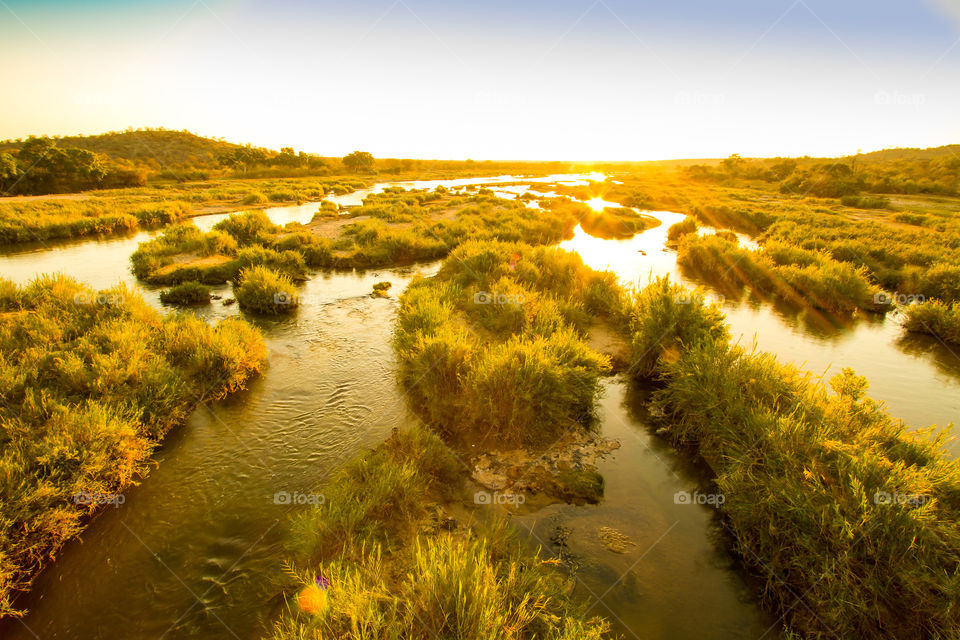 Best time of the day - golden hour! Image of sunset over the Kruger National Park in Africa. Image of field grass and a river at sunset