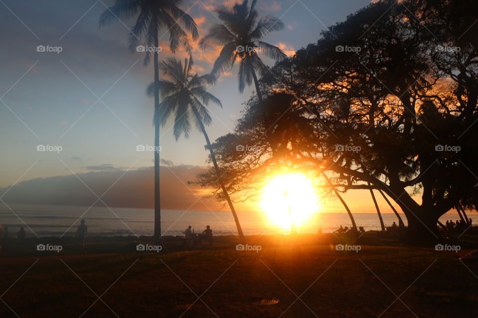 Sunset on the beach with silhouettes of people sitting under palms 