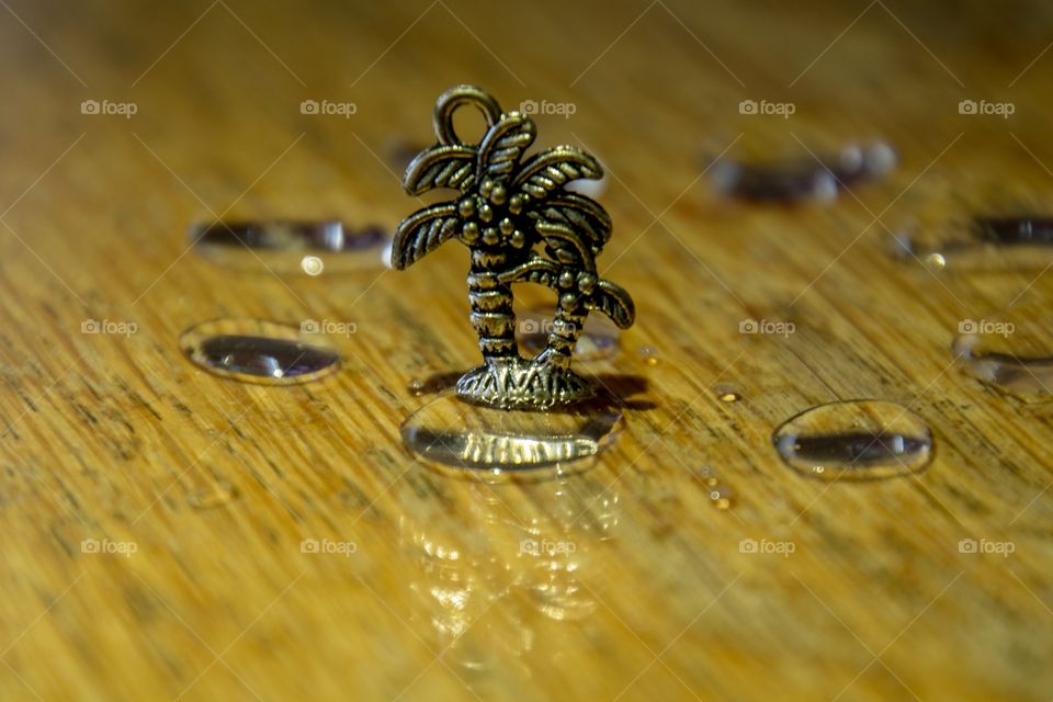 A palm tree in a drop of water