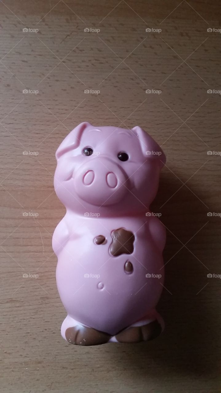 friendly lucky chocolate pig sweets gift present