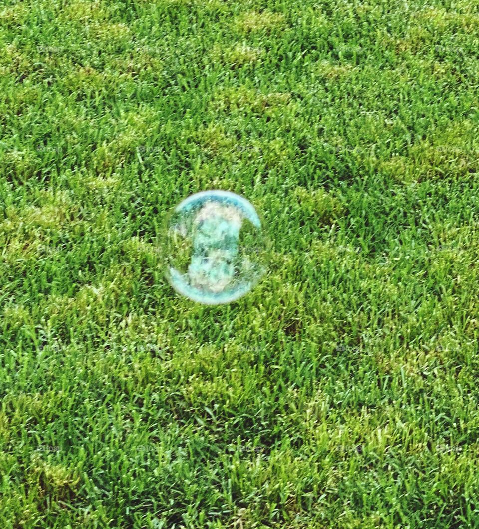 Spring Grass with Bubble