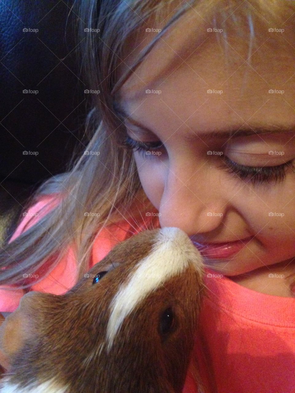 Guinea love. Guinea pig and girl nose to nose 